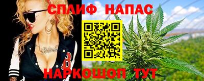 гашик Кимры