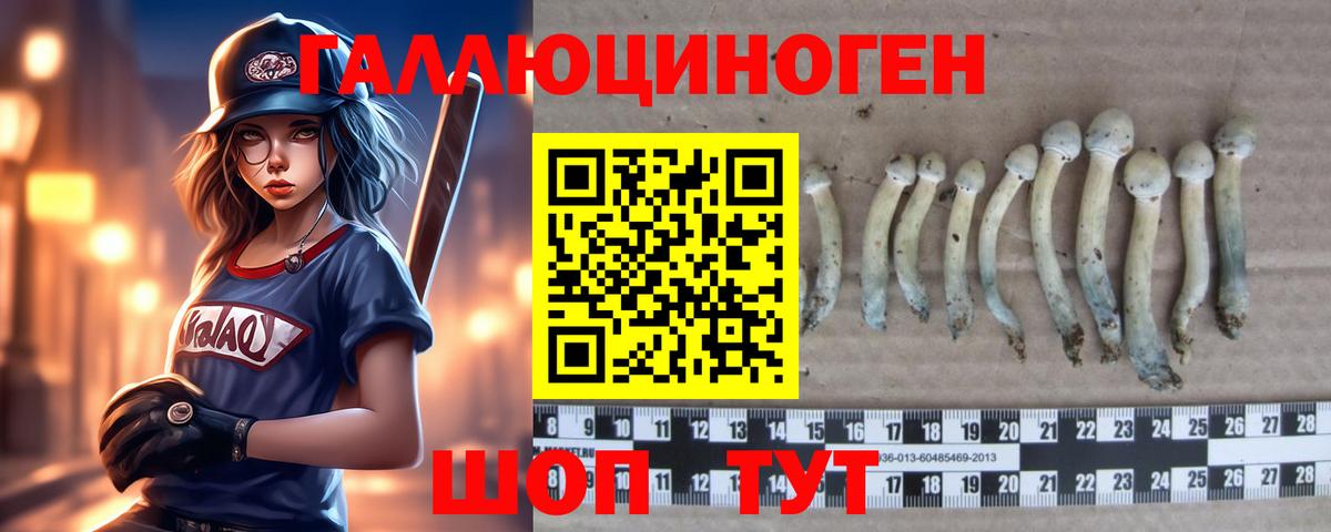 Галлюциногенные грибы Psilocybine cubensis  Вход с VPN  Луховицы 